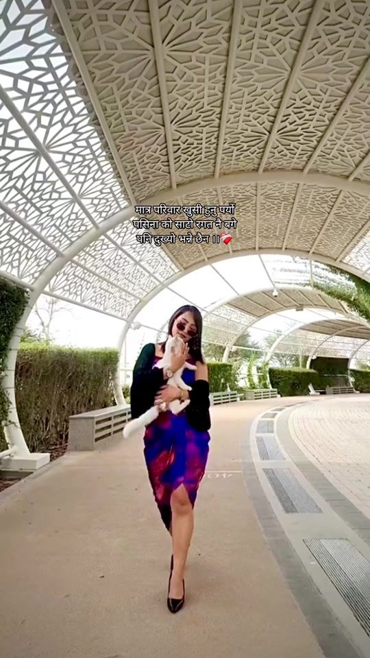 TikTok video thumbnail by seshmitmg2