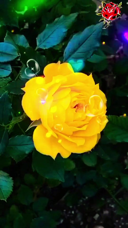 TikTok video thumbnail by alixan9224