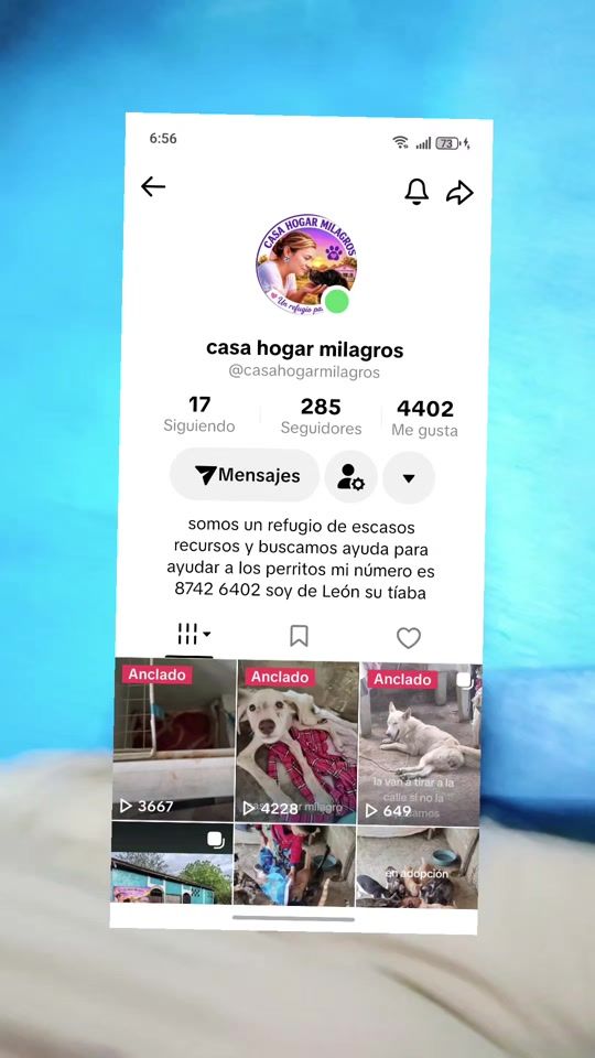 TikTok video thumbnail by hogar082
