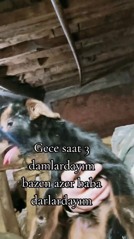 TikTok video thumbnail by koykizituba
