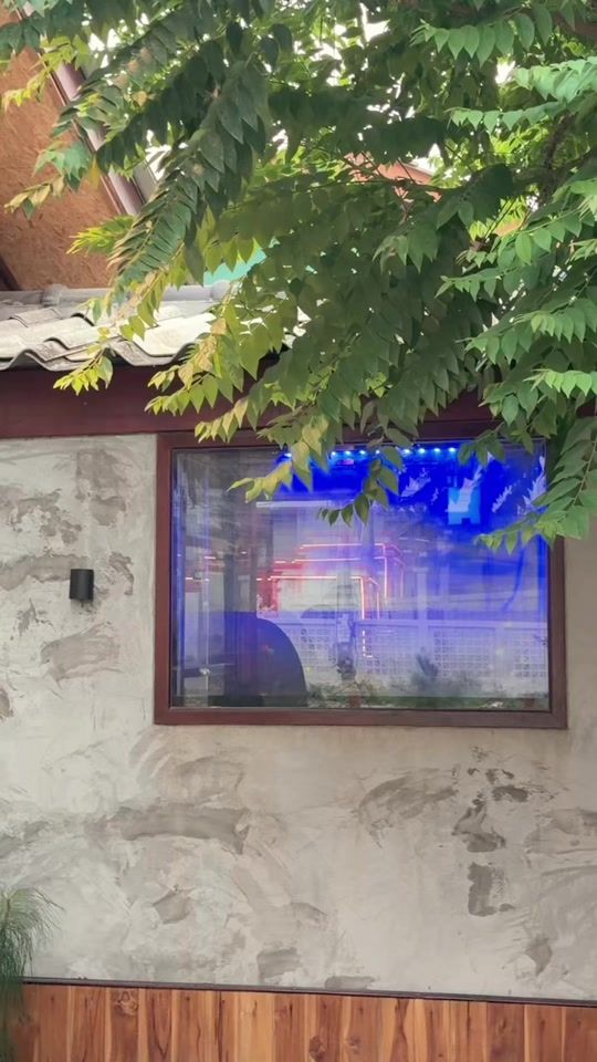 TikTok video thumbnail by lino_mfl
