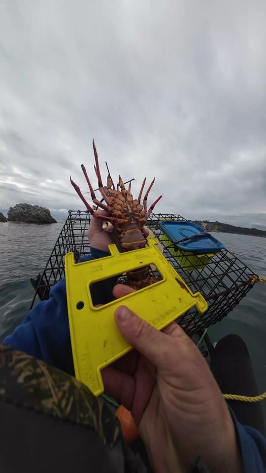 TikTok video thumbnail by crayfishkayaker
