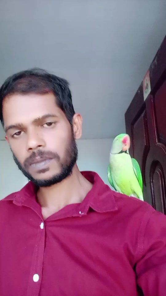 TikTok video thumbnail by rohanakumar576