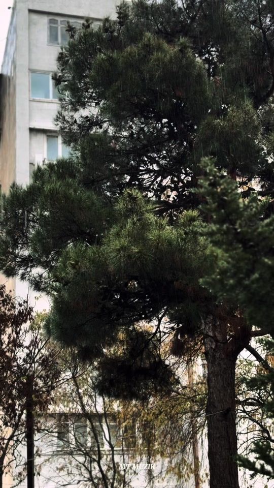 TikTok video thumbnail by mt__music