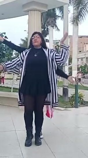 TikTok video thumbnail by silver.elera07