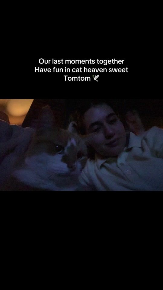 TikTok video thumbnail by fedoualicious
