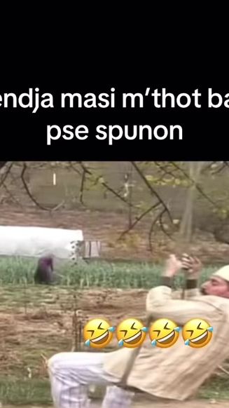 TikTok video thumbnail by meme_hub702