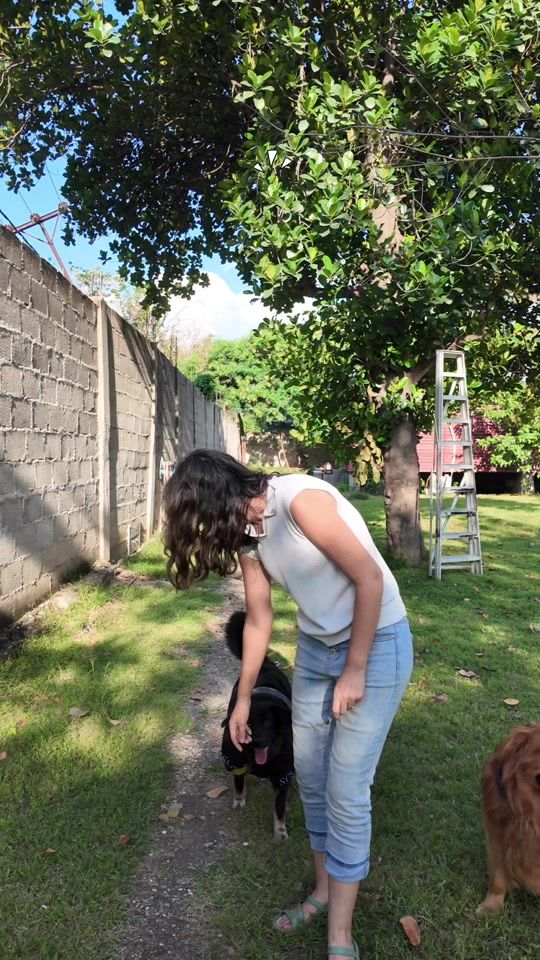 TikTok video thumbnail by happy.pets.dili