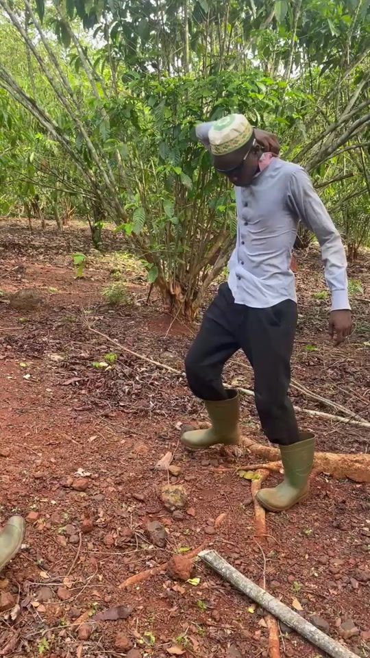 TikTok video thumbnail by les.daltons781