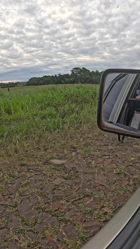 TikTok video thumbnail by faridmaluffladan