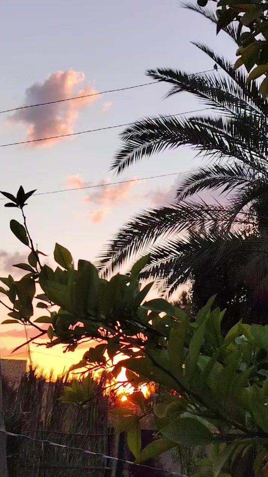 TikTok video thumbnail by ms__pff