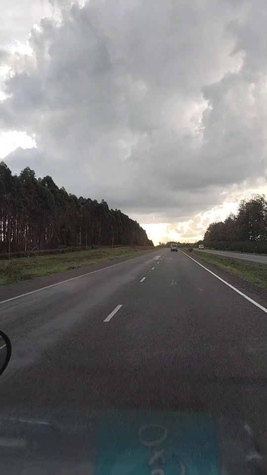 TikTok video thumbnail by zero_one_safaris