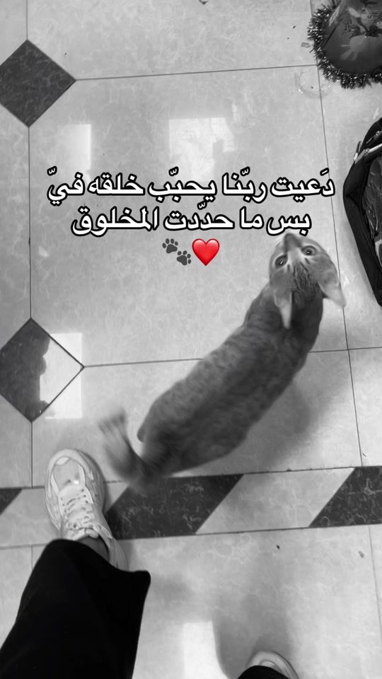 TikTok video thumbnail by talk3321