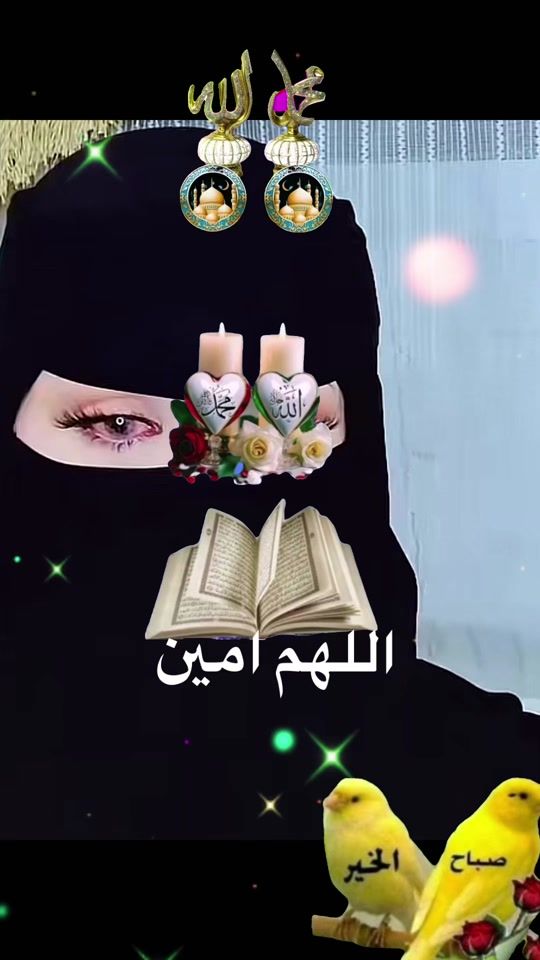 TikTok video thumbnail by nofal506