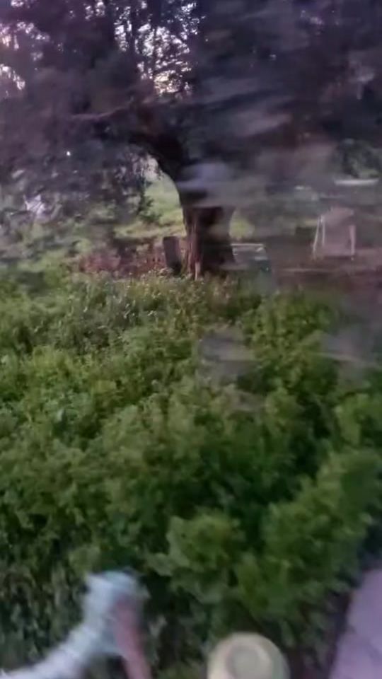 TikTok video thumbnail by joujou_frt