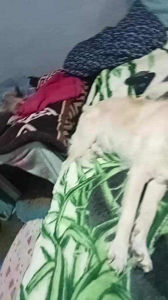 TikTok video thumbnail by chayo472