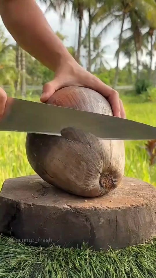 TikTok video thumbnail by inf.sakib