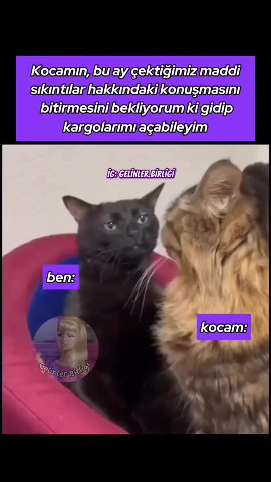 TikTok video thumbnail by yumor_time95