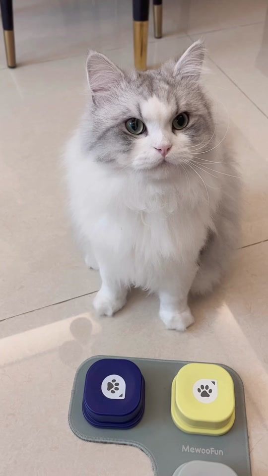 TikTok video thumbnail by winnie141319
