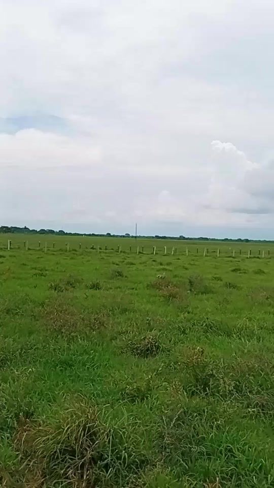 TikTok video thumbnail by .eljesus20