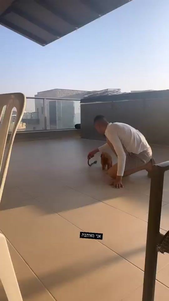 TikTok video thumbnail by foreverohad