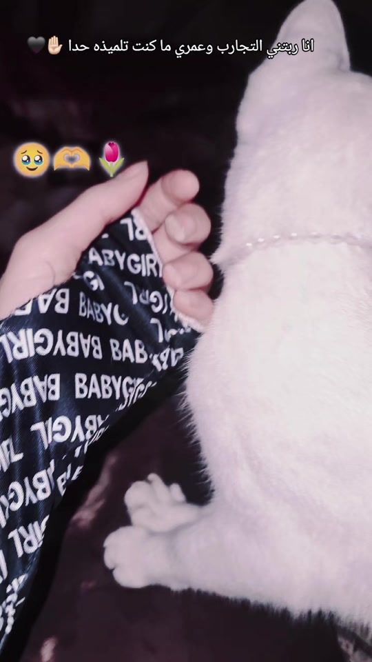 TikTok video thumbnail by alkobra_____evo