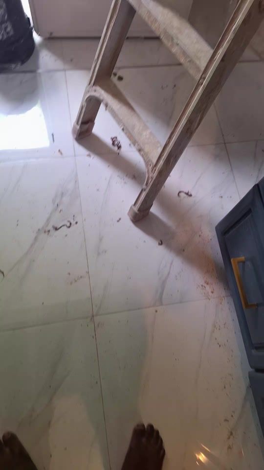 TikTok video thumbnail by newlevelconstruction