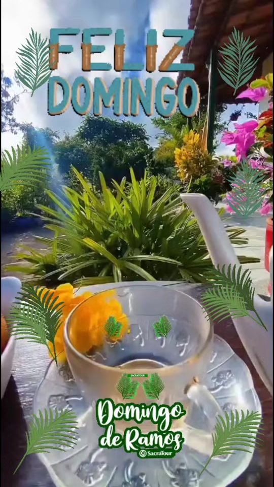TikTok video thumbnail by elisangelarod753