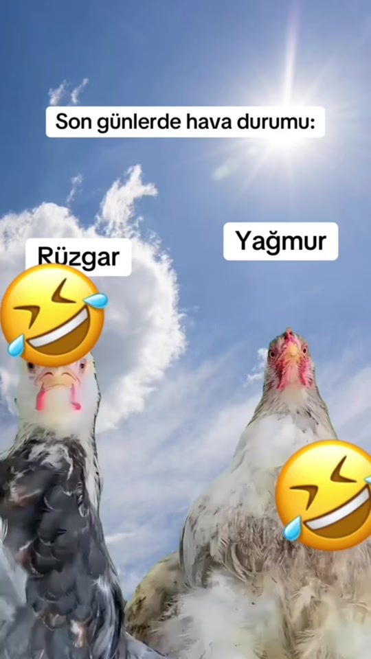 TikTok video thumbnail by essek_gozlu