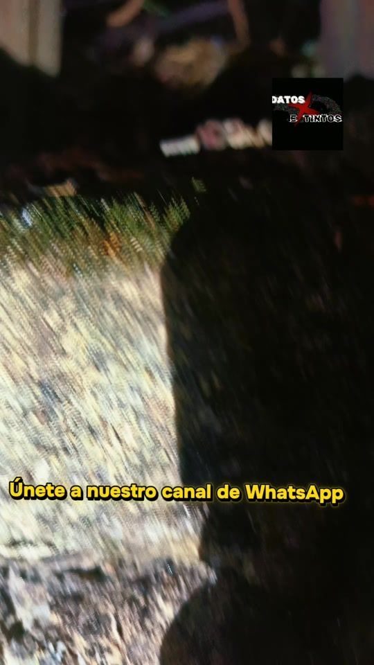 TikTok video thumbnail by datosextintos