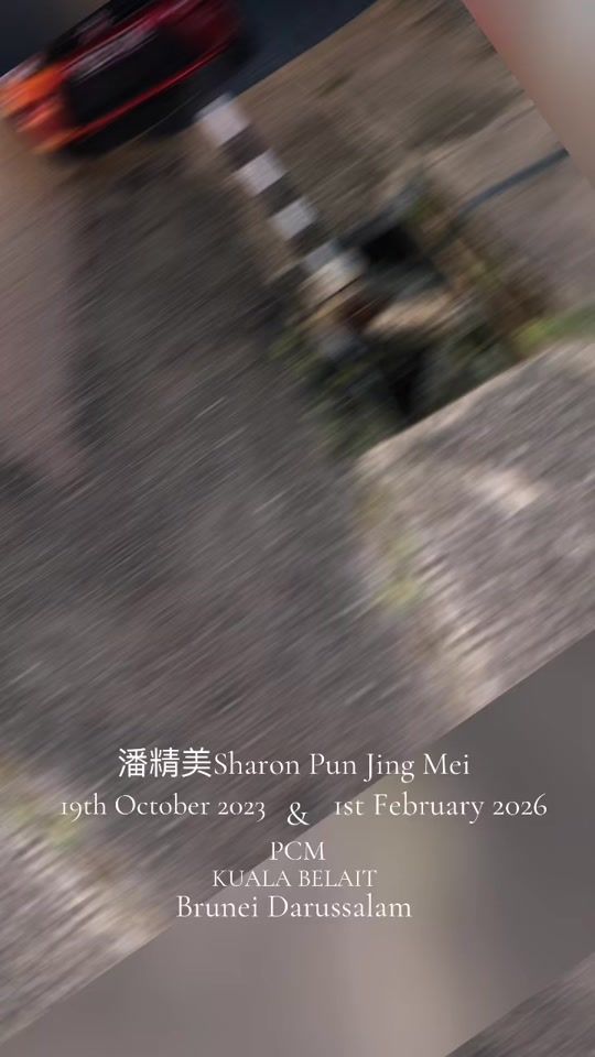 TikTok video thumbnail by puncheemann