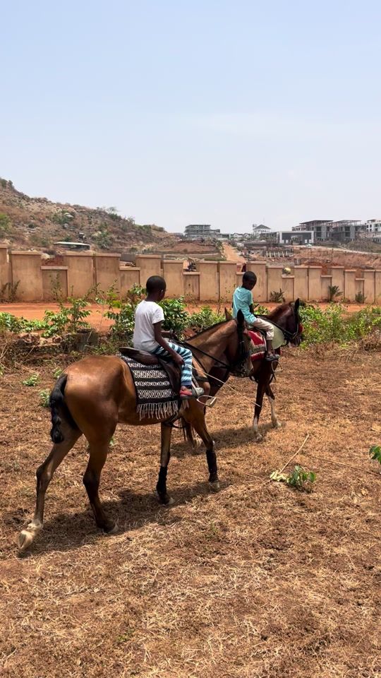 TikTok video thumbnail by abuja_horse_riders