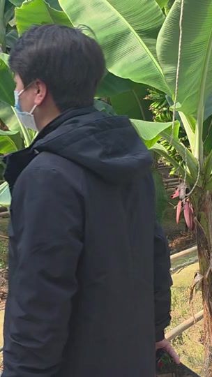 TikTok video thumbnail by taspaluan