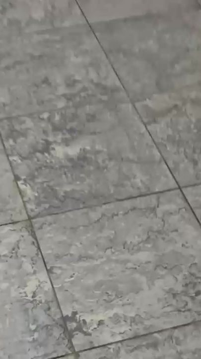 TikTok video thumbnail by dognation_sn