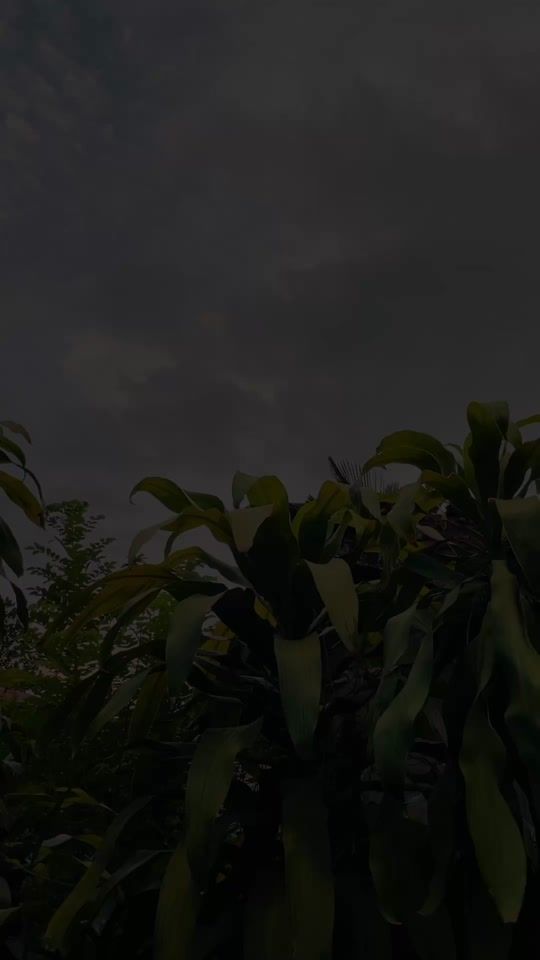 TikTok video thumbnail by pasiya_status_