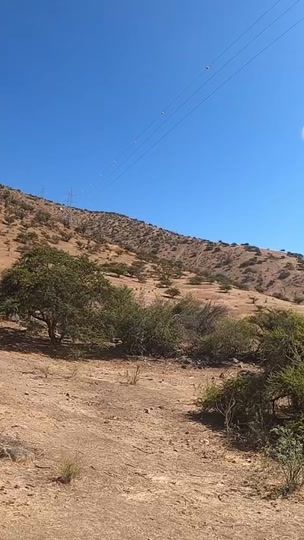 TikTok video thumbnail by cristobal.v.m