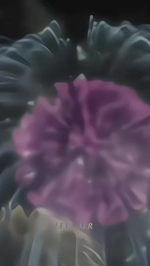 TikTok video thumbnail by levi_alr