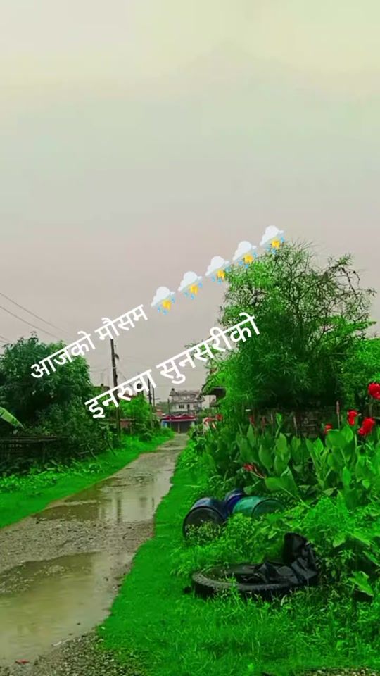 TikTok video thumbnail by rina.sharma15