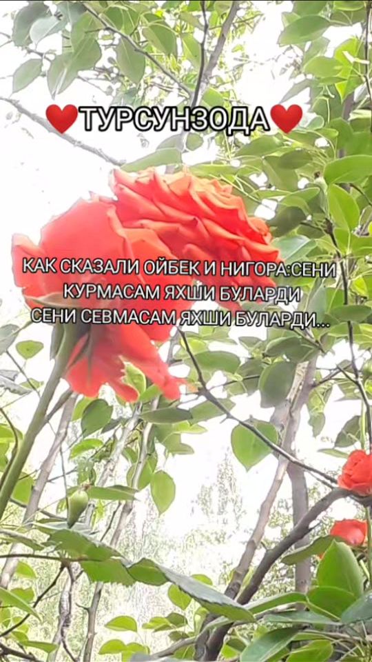 TikTok video thumbnail by _711madamchik