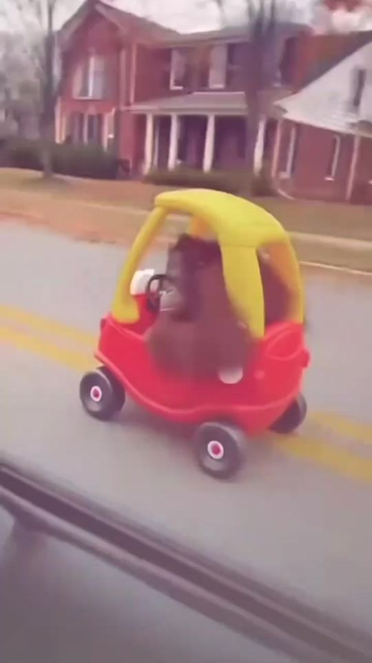 TikTok video thumbnail by kevindeen58
