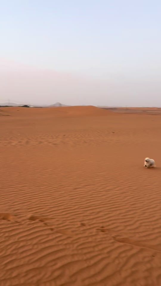 TikTok video thumbnail by zinebkhouildi