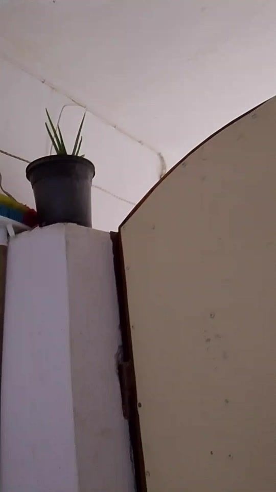 TikTok video thumbnail by user4999130695673