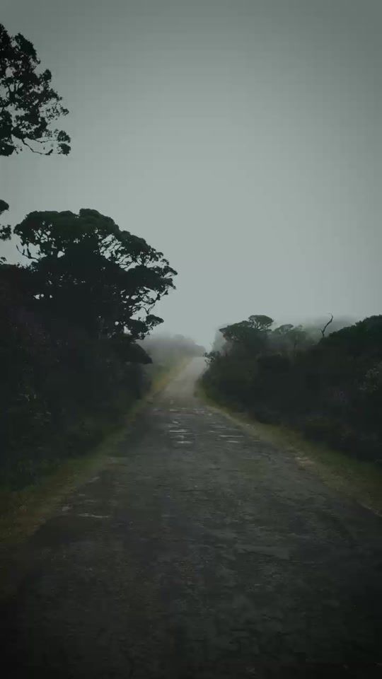 TikTok video thumbnail by sunethdilshan91