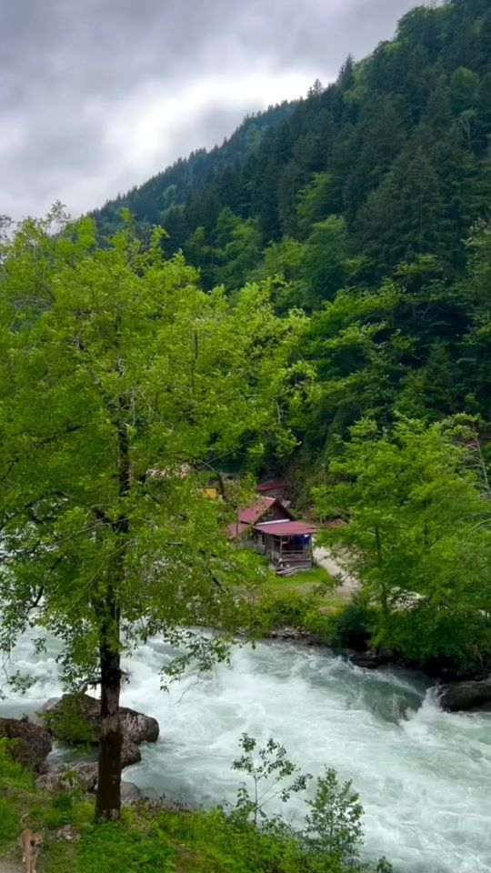TikTok video thumbnail by ghaima61