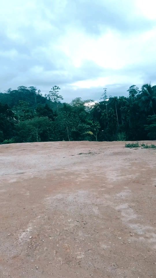 TikTok video thumbnail by malarmadhi3
