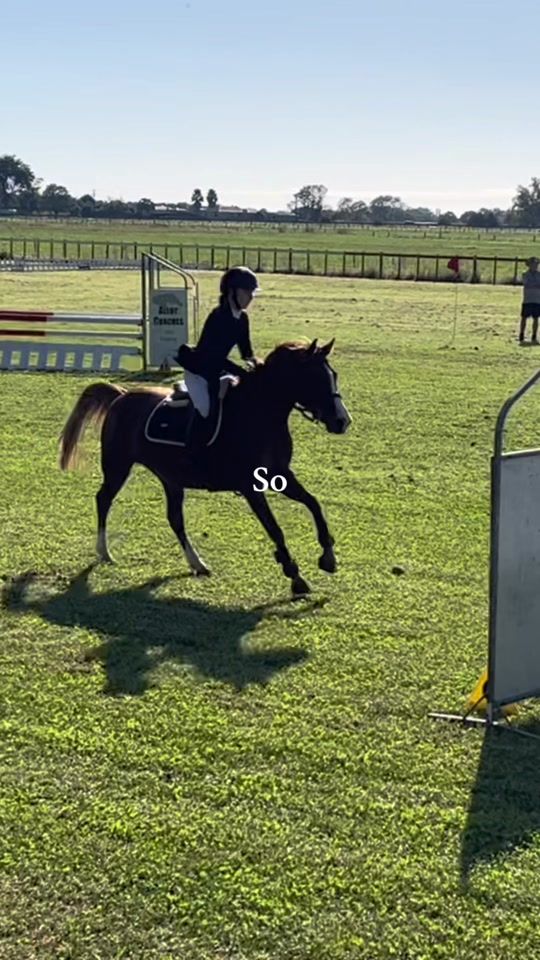 TikTok video thumbnail by milla._equestrian