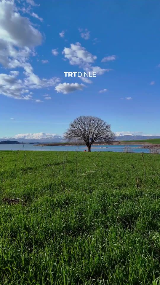 TikTok video thumbnail by trtdinle