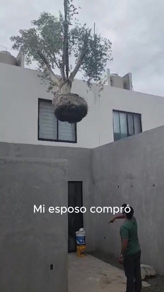 TikTok video thumbnail by flor.martinz