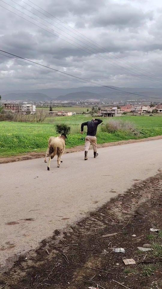 TikTok video thumbnail by younes_bentarzi