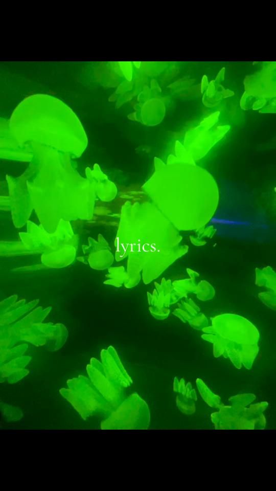 TikTok video thumbnail by woq.spotify
